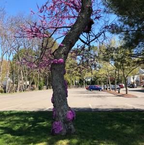 Meet your Posher, Vahida